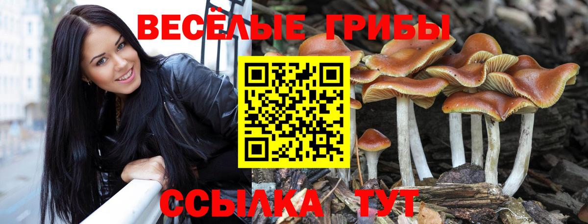 Псилоцибиновые грибы мухоморы Кушва