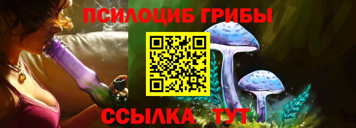Галлюциногенные грибы MAGIC MUSHROOMS  Вход с VPN  купить   Кушва 